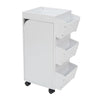 Swivel Organizer White / Black