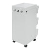 Swivel Organizer White / Black