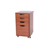 Kiwi Storage Cabinet Teak
